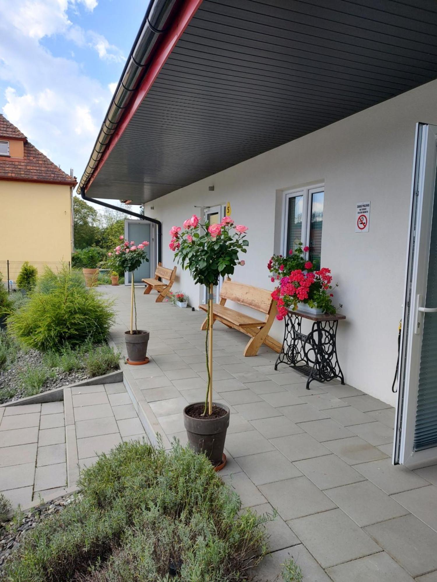 Pokoje Pod Grusza -Osobne Wejscia Kudowa Zdroj Exterior photo